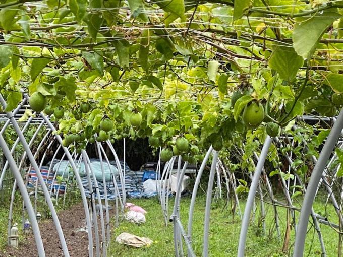 Canaan Beauty Farm B&B Chenggong Esterno foto